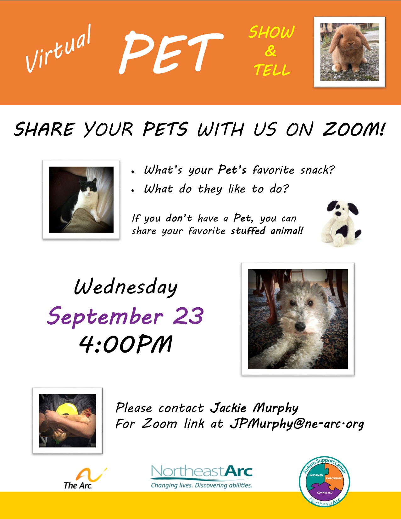 Flyer for Virtual Pet Show and Tell