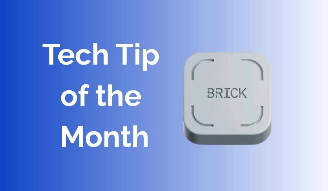 Tech Tip of the Month Brick